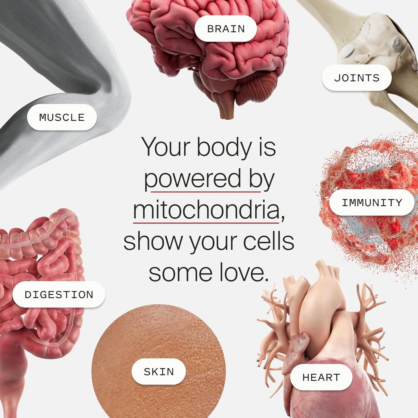 Mitopure Softgels Urolithin A