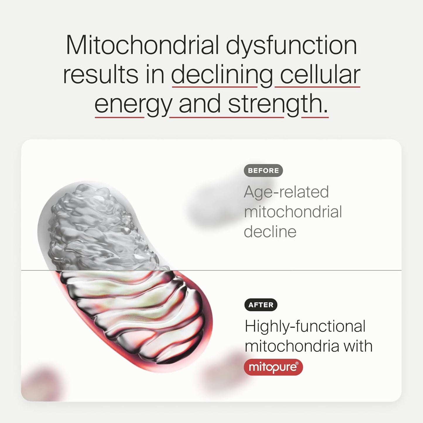 Mitopure Softgels Urolithin A
