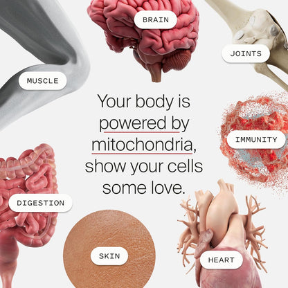 Mitopure Softgels Urolithin A